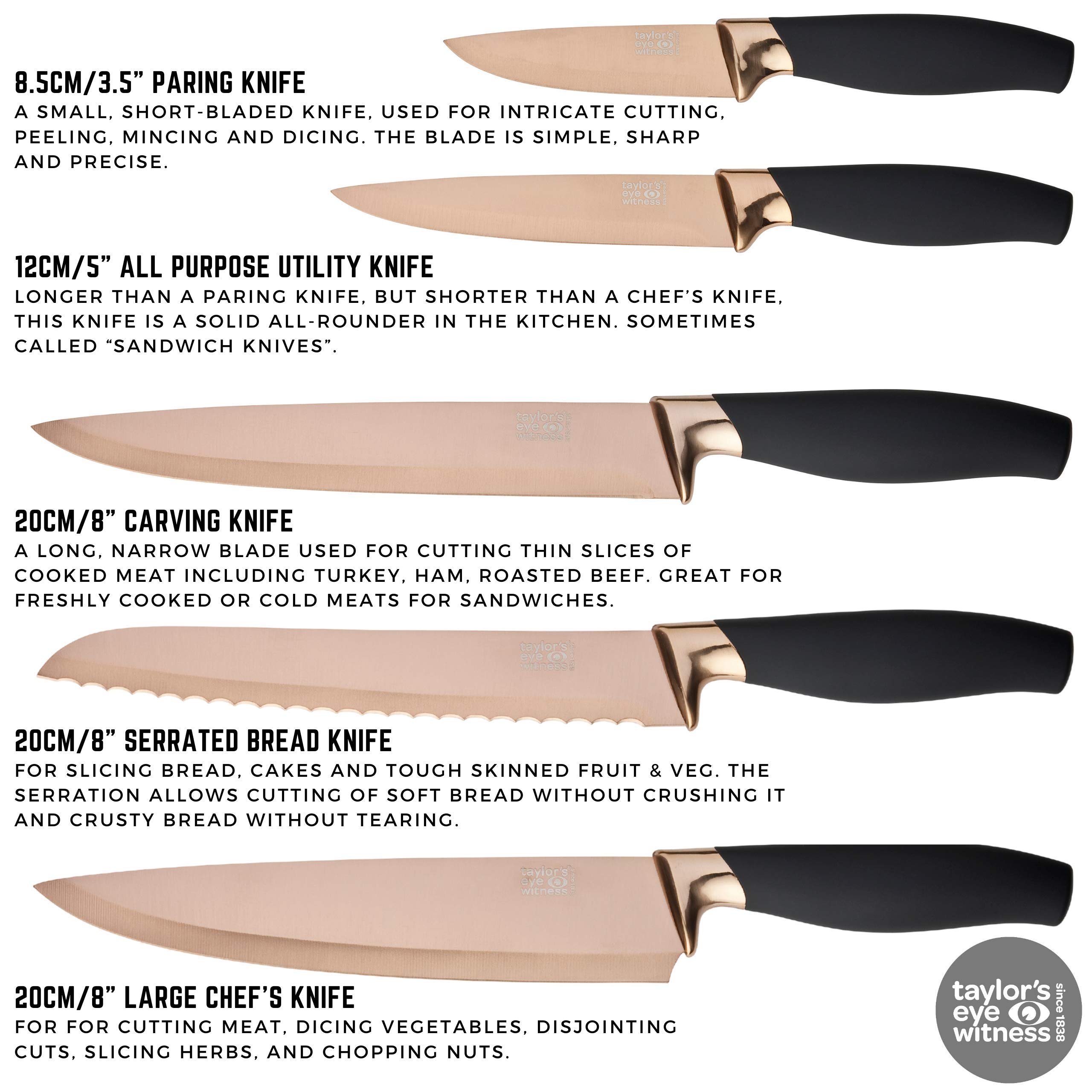 Taylor's Eye Witness Rose Gold Fan-Shaped Knife Block - Premium Kitchen Storage for Knives & Utensils - Perfect for Home Chefs & Cooking Enthusiasts