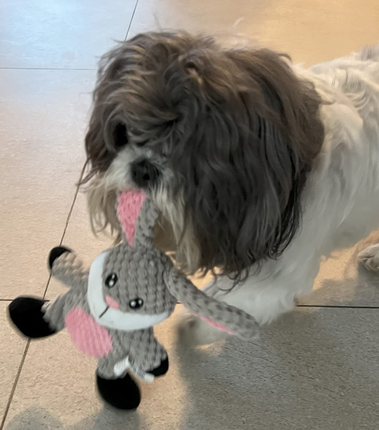Soft Barnyard Rabbit Plush Dog Toy for Small Dogs - Cute & Durable Chew Toy for Puppies, Teething, and Playtime