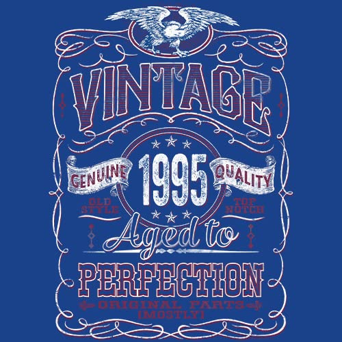 Vintage 1995 Aged to Perfection 30th Birthday T-Shirt for Men - Funny 30 Year Old Gift Idea - Perfect for Birthday Parties & Milestone Celebrations