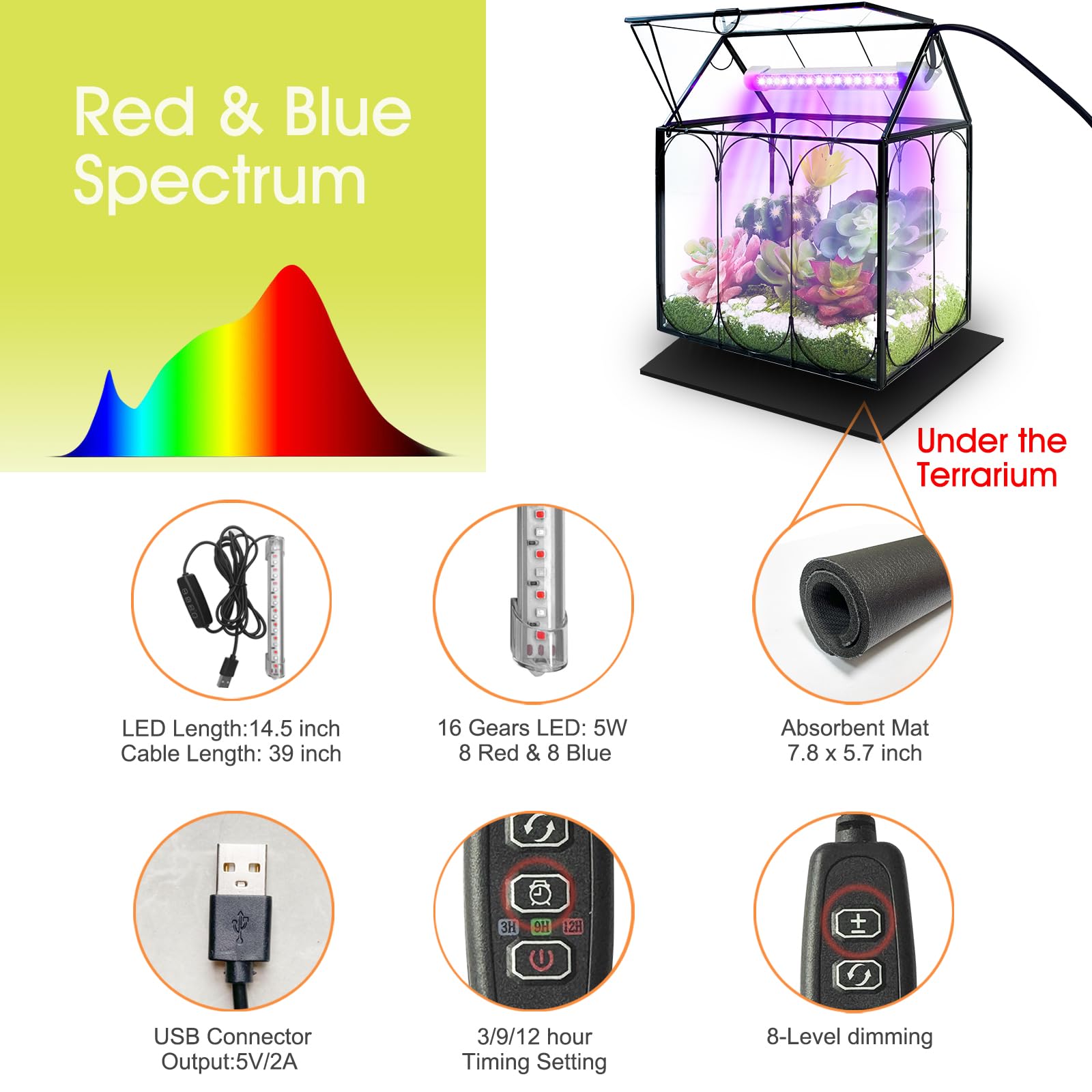 Rifny Indoor House Shape Glass Terrarium Kit with Grow Light & Lid - Small Plant Terrarium Jar for Venus Fly Trap, Succulents & Air Plants - Perfect Home & Office Decor (Plants Not Included) | Great for Desktop Decor, Gift Ideas & Indoor Gardening Enthusiasts