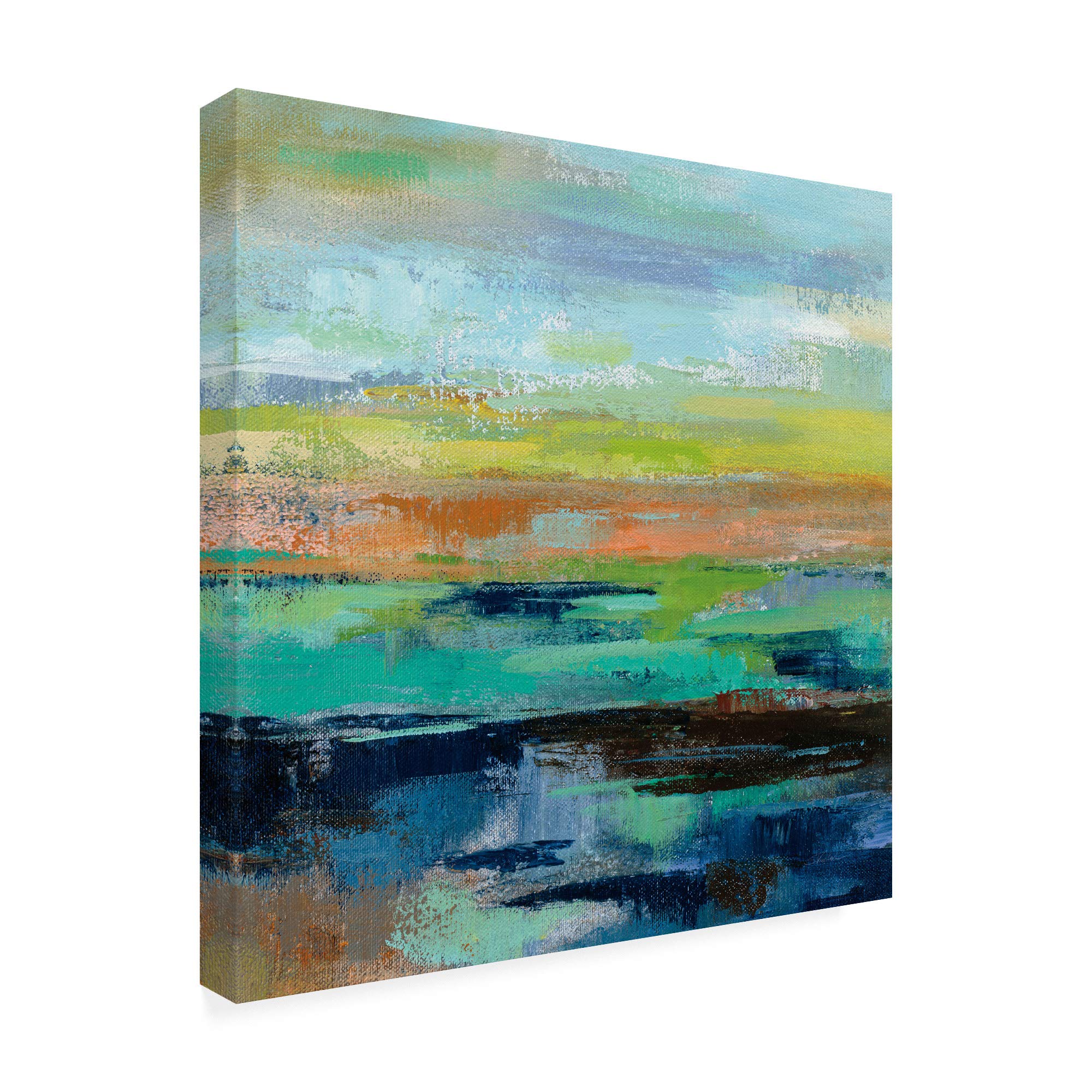 Trademark Fine Art - Delmar Sunset III by Silvia Vassileva, 18x18 Inch Wall Art Canvas Print - Perfect for Living Room, Bedroom & Office Decor