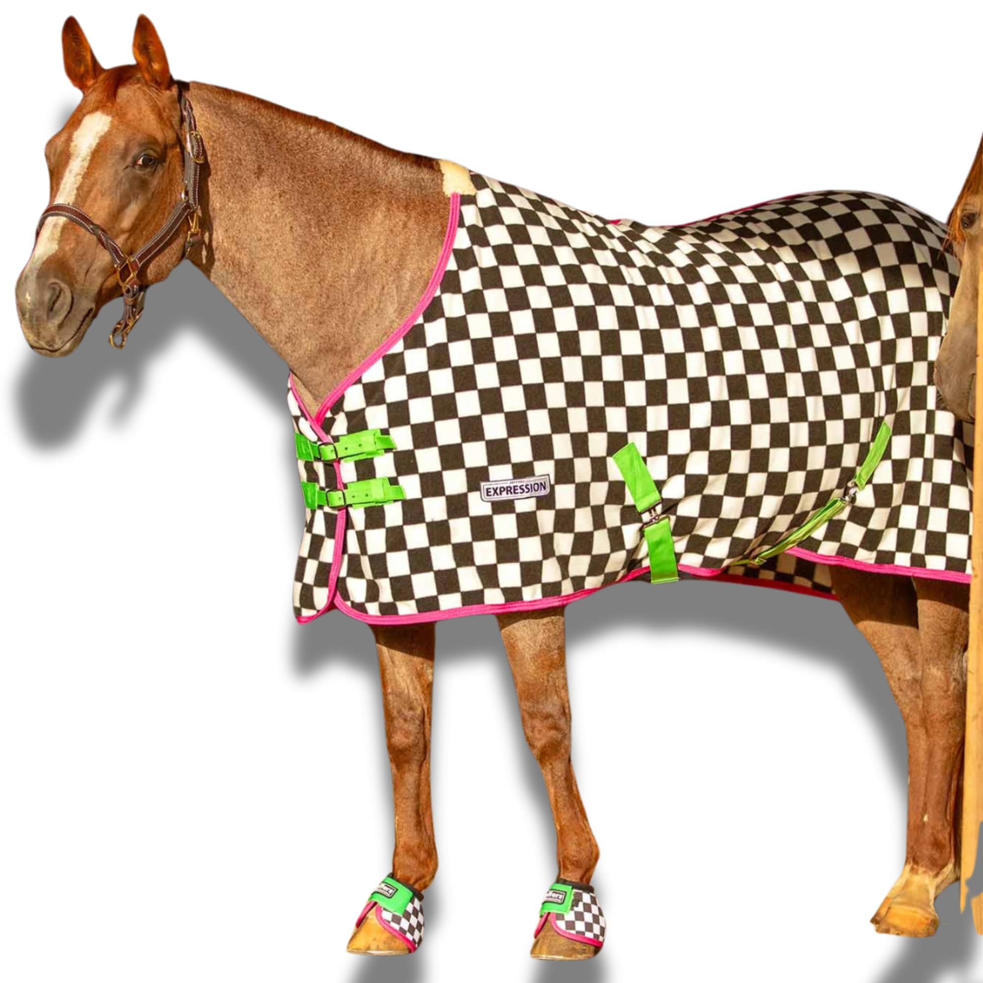 Jeffers Expression Fleece Cooler for Horses - Standard Neck, Skater Cowgirl 84