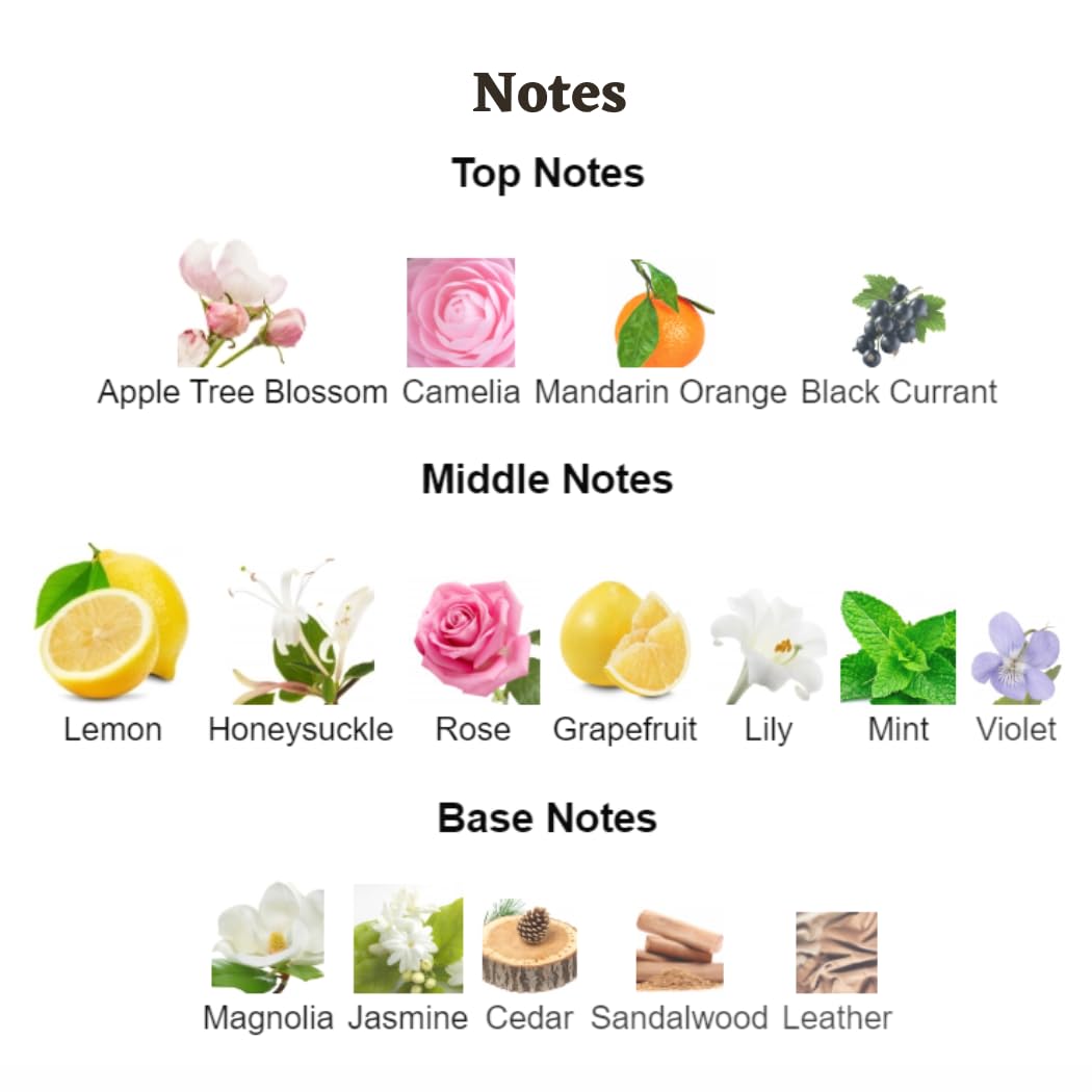 DigiPreneur Wifi Girl Sage Perfume Eau De Parfum for Women - 30ml Floral Fragrance Bottle | Long-Lasting Scent for Daily Wear, Office & Romantic Dates