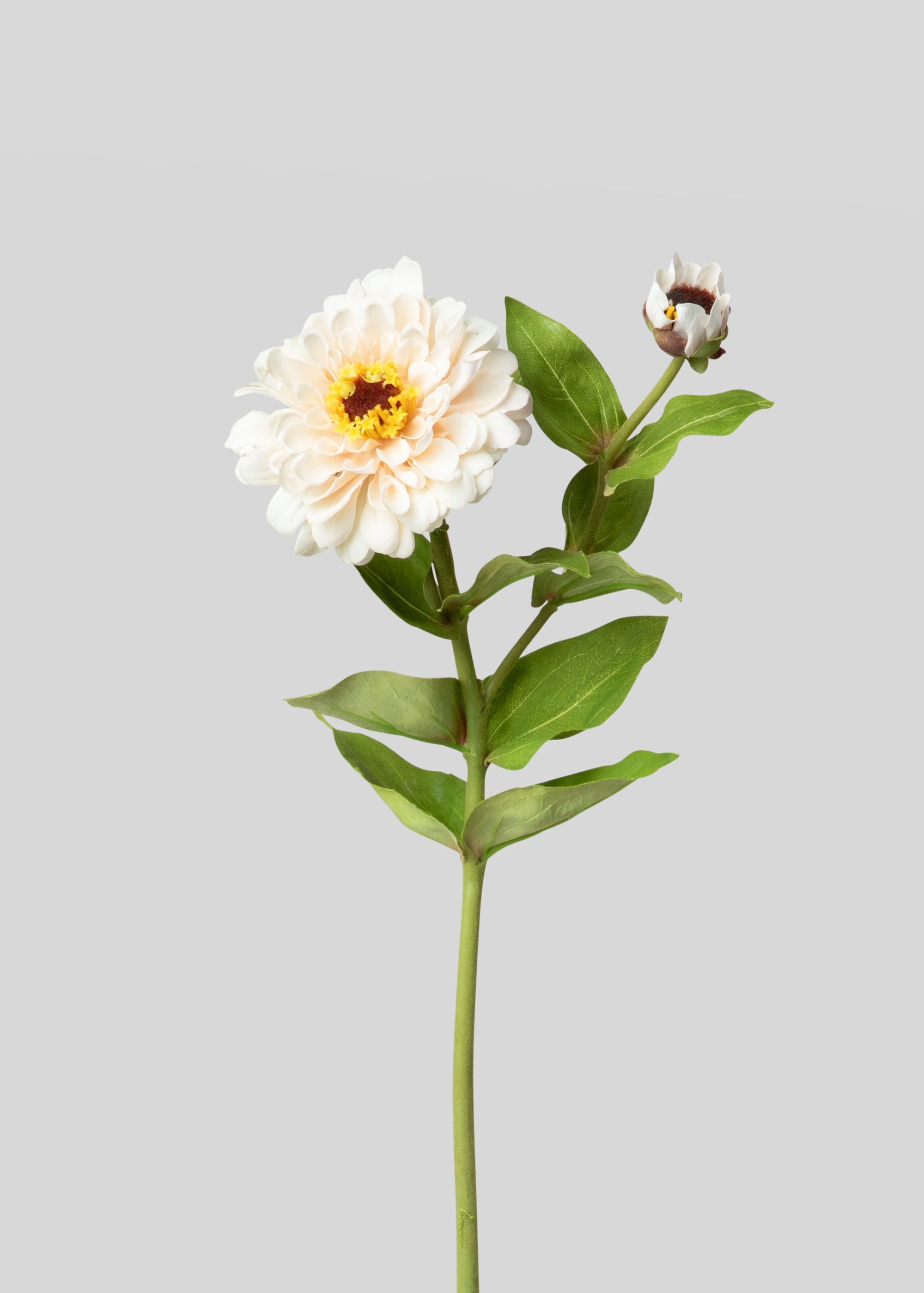 Premium Cream Zinnia Artificial Flowers - Real Touch Silk Fake Flowers 24.5