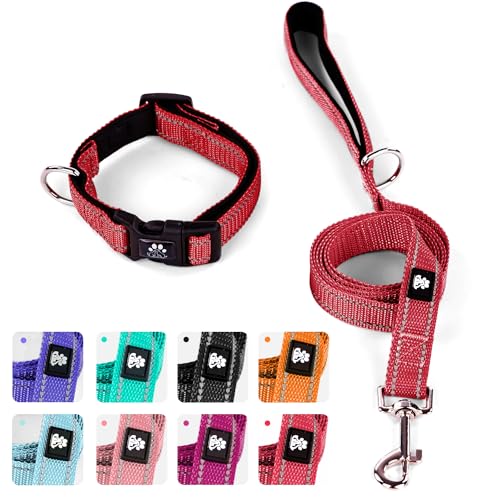 Red Collar+Leash