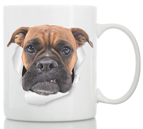 Grumpy Boxer