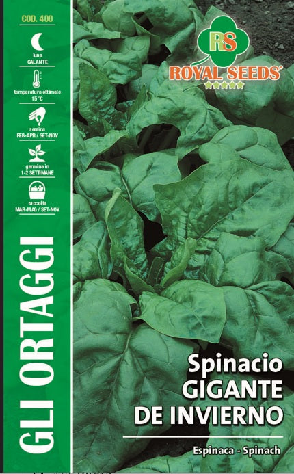 Royal Spinach Seeds RYM127/9 - Non-GMO, High-Yield Spinach Seeds for Home Gardening, Organic Vegetable Planting & Healthy Salads