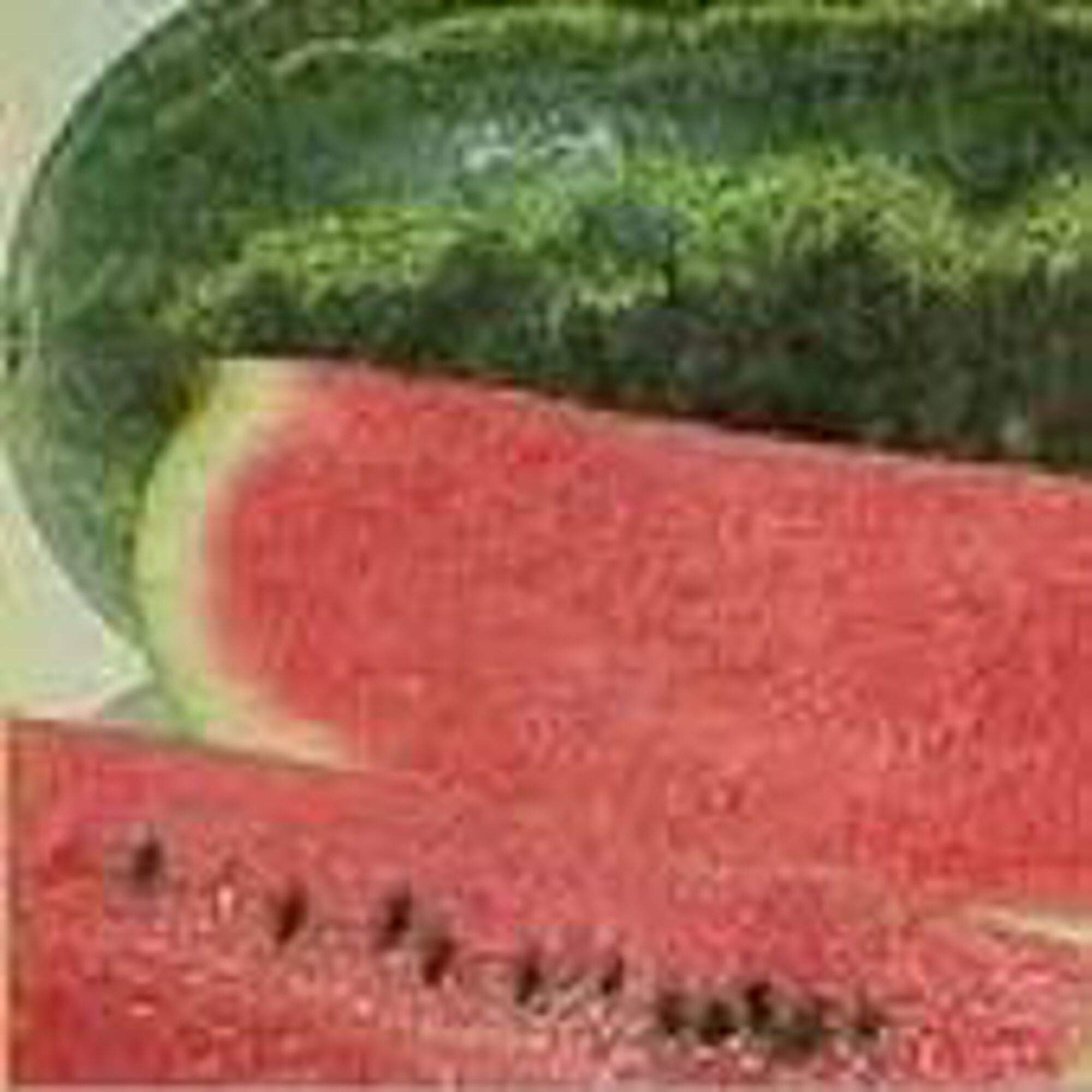 Heirloom Cobb Gem Watermelon Seeds - Non-GMO, 25+ Seeds for Vegetable & Fruit Garden | Perfect for Home Gardening, Backyard Planting & Fresh Summer Harvests