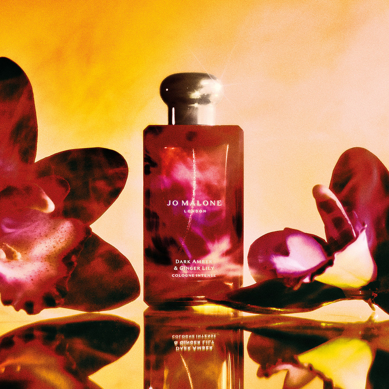 Jo Malone Dark Amber & Ginger Lily Cologne Intense - Luxury Unisex Perfume for Men & Women, Perfect for Date Nights & Special Occasions