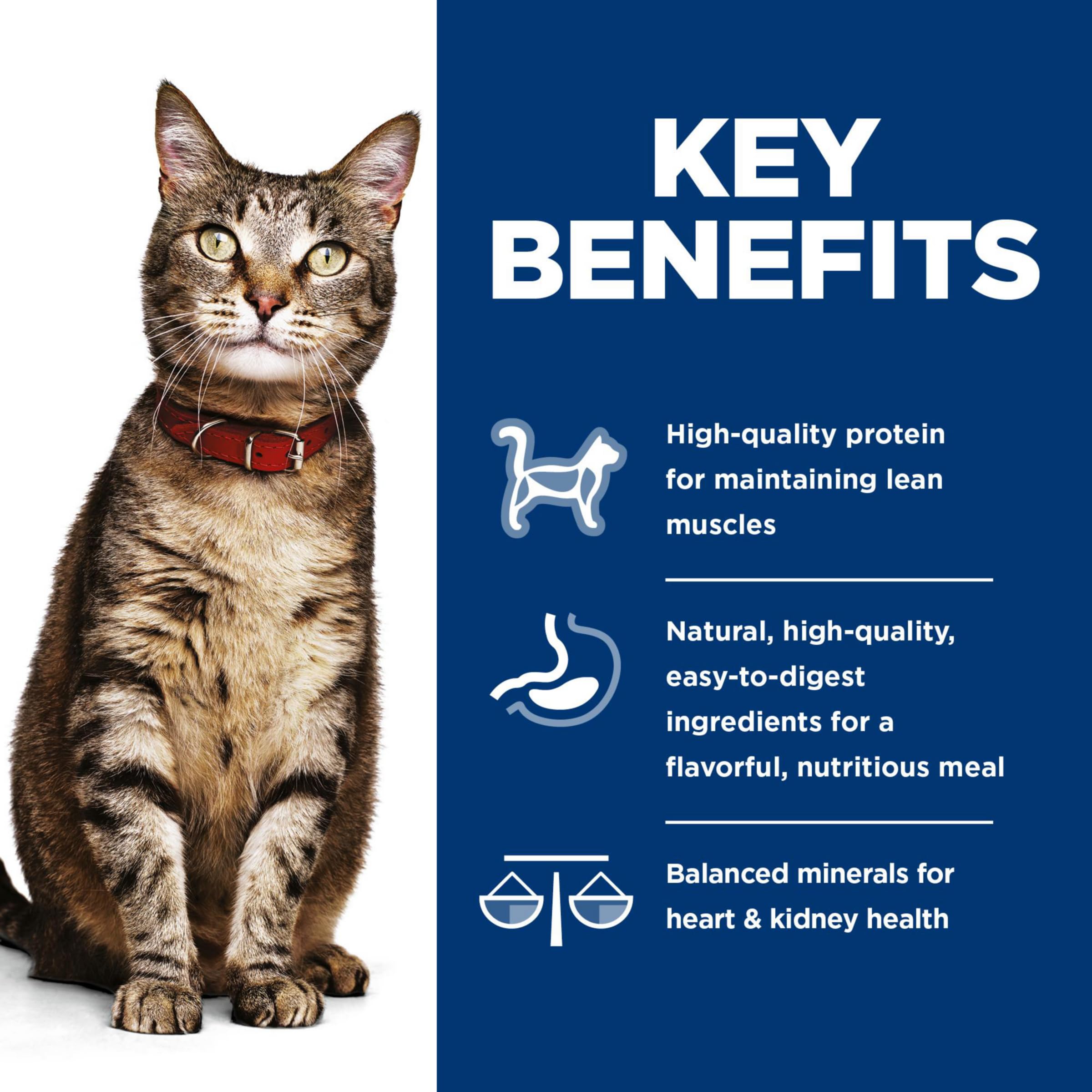 Hill's Science Diet Adult 1-6 Premium Nutrition Wet Cat Food Variety Pack - Turkey, Chicken & Liver Minced (5 oz Cans, Case of 12) | High Protein Cat Food for Indoor & Outdoor Cats | Perfect for Daily Meals & Weight Management