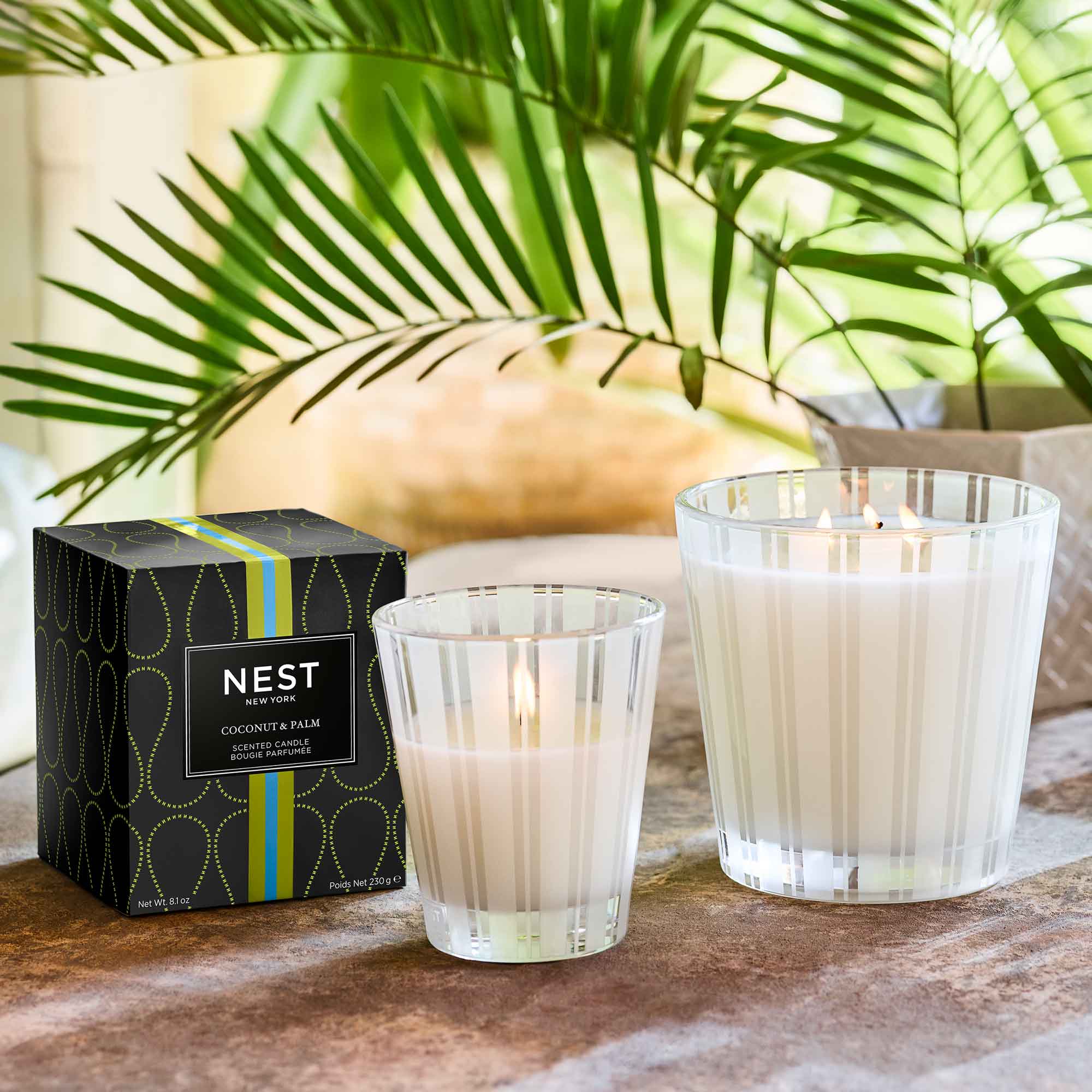 Premium Coconut & Palm Wax Candle - Natural, Eco-Friendly, Long-Lasting Scent - Perfect for Home, Spa, Yoga & Relaxation