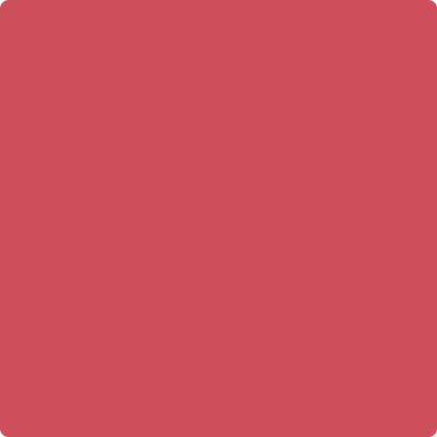 2004 30 Raspberry Pudding - Delicious Raspberry Dessert Mix for Baking, Snacks & Party Treats | Perfect for Home, Cafes & Special Occasions