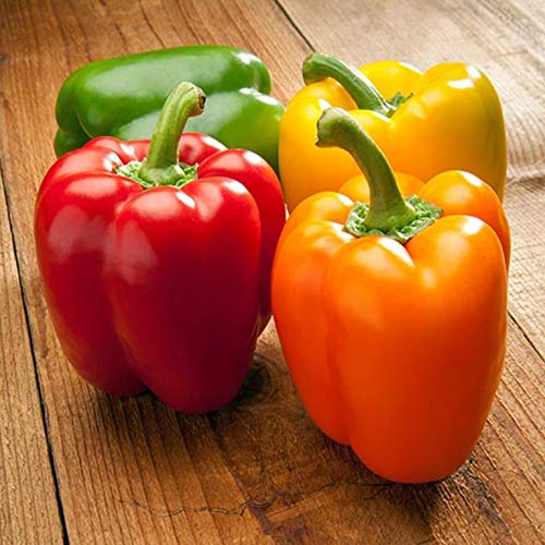 Non-GMO Heirloom Rainbow Sweet Bell Pepper Seeds for Planting - Colorful Mix for Home Gardens, Greenhouses & Urban Farming