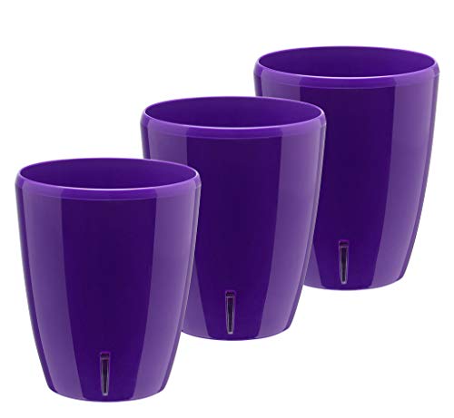 Violet - Set of 3