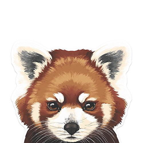 Red Panda