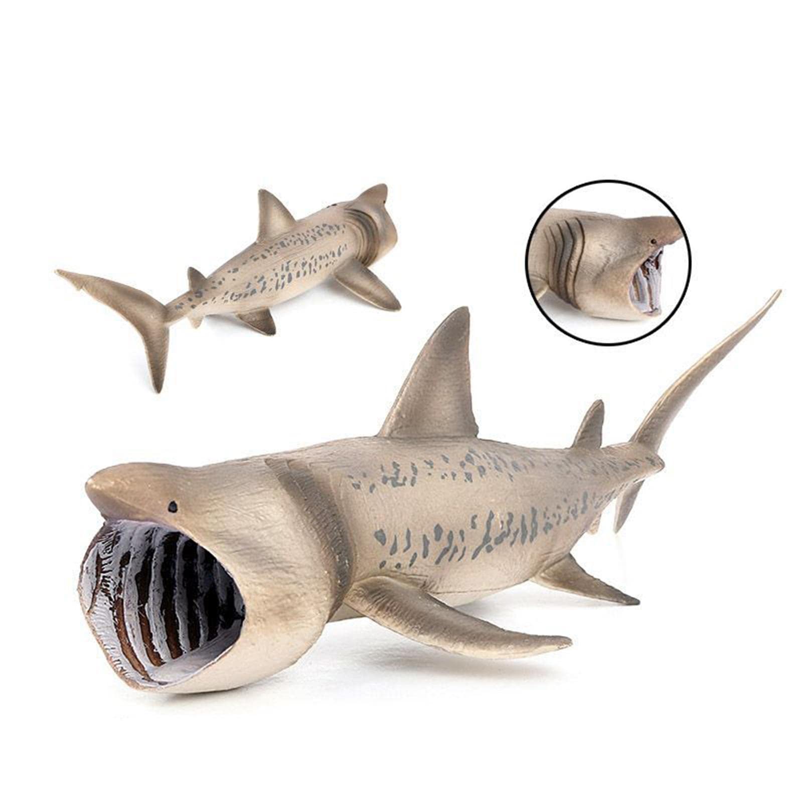 Realistic Shark Toy Figures - Basking Shark Sea Animal Bath Toys for Kids | Educational Ocean Creature Figurines for Boys & Girls | Perfect for Bath Time Play, Classroom Learning & Marine Life Collections