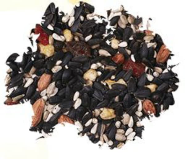 Wild Delight Fruit N' Berry Bird Food - 5 lb Bag | Premium Wild Bird Seed Mix with Dried Fruits & Berries | Attracts Cardinals, Bluebirds & Songbirds | Perfect for Backyard Bird Feeders & Wildlife Gardens