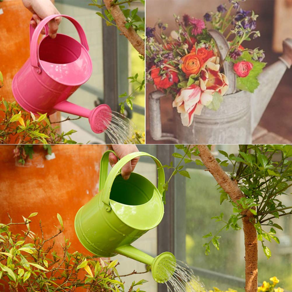 1.5L (51oz) Metal Watering Can for Kids - Green Iron Garden Watering Pot with Sprinkler for Indoor & Outdoor Plants | Perfect for Houseplants, Gardening, and Kids' Outdoor Activities
