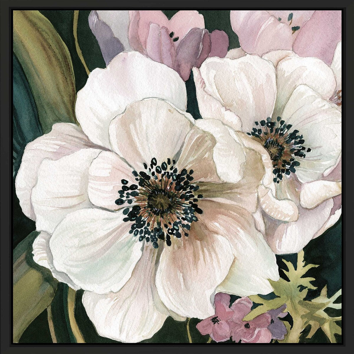 Anemone Study I by Carol Robinson - Floating Canvas Wall Art Print - Perfect for Home Decor, Living Room, Bedroom & Office