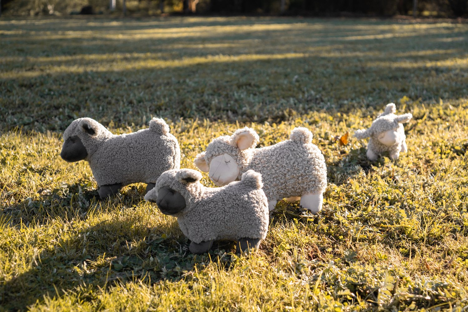 Lucy Lamb Cream - Natural & Organic Skincare for Dry & Sensitive Skin - Perfect for Daily Moisturizing & Nighttime Repair