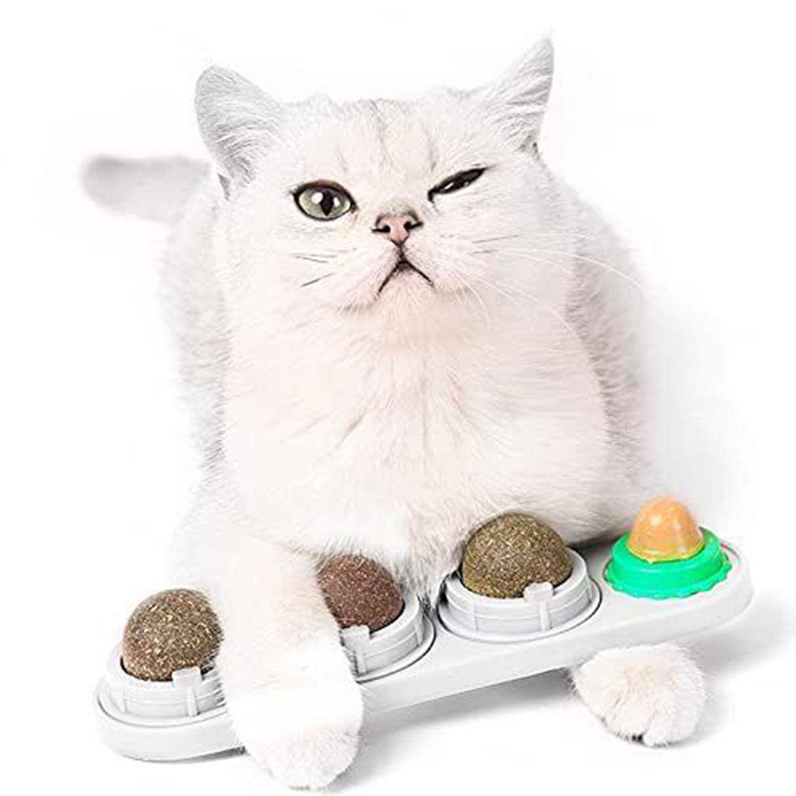 Organic Catnip Balls for Kittens - 4-in-1 Edible Cat Mint Chew Toys | Safe Dental Treats for Teeth Cleaning | Interactive Wall Treats for Indoor Cats | Perfect for Playtime & Stress Relief