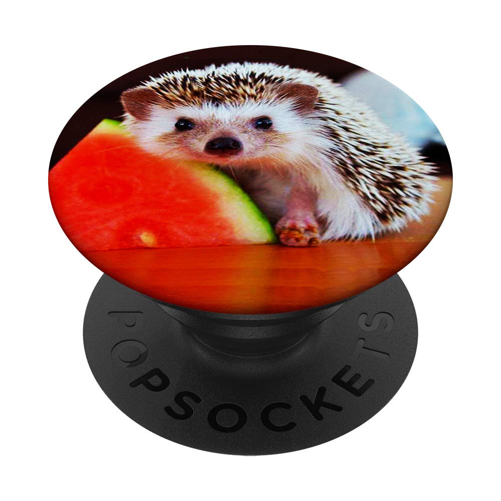 Adorable Hedgehog Pop Socket with Fruit Design - Swappable Phone Grip for iPhone, Samsung & Tablets - Perfect for Gaming, Selfies & Everyday Use