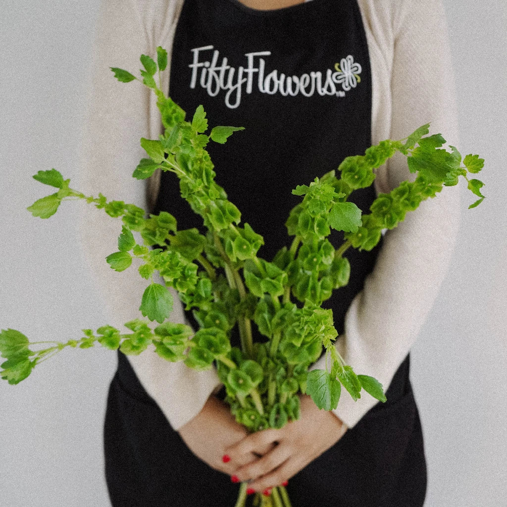 Bells of Ireland Moluccella Greenery - Fresh Cut Floral Stems for Wedding Bouquets, Home Decor, and DIY Floral Arrangements