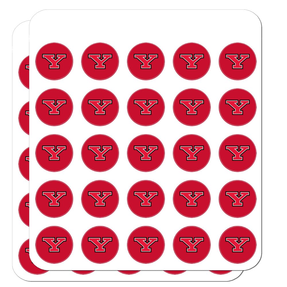 Youngstown State Primary Logo 1 Inch Planner Stickers - Clear Scrapbooking Decals for Bullet Journals, DIY Crafts, and School Supplies - Perfect for Planners, Calendars, and Scrapbook Projects