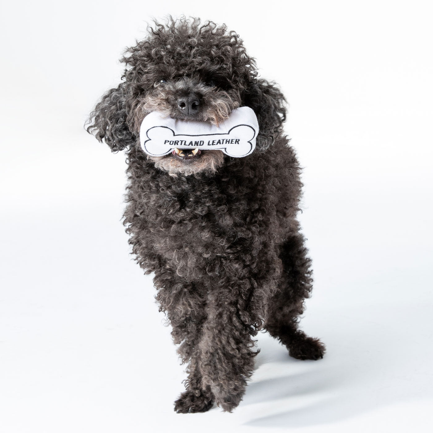 Durable Dog Toy Set for Chewers - Interactive Puppy Toys for Small & Large Dogs - Perfect for Indoor & Outdoor Playtime