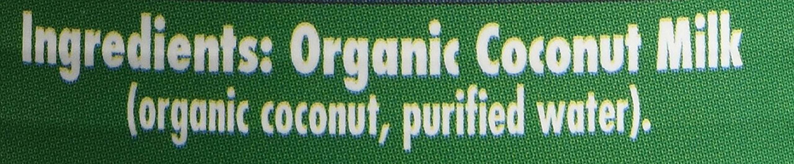 Organic Unsweetened Coconut Milk by Native Forest - 13.5 Fl Oz (Pack of 3) | BPA-Free Canned Coconut Milk for Cooking, Baking, Smoothies & Vegan Recipes | USDA Certified, Non-GMO, Dairy-Free Alternative