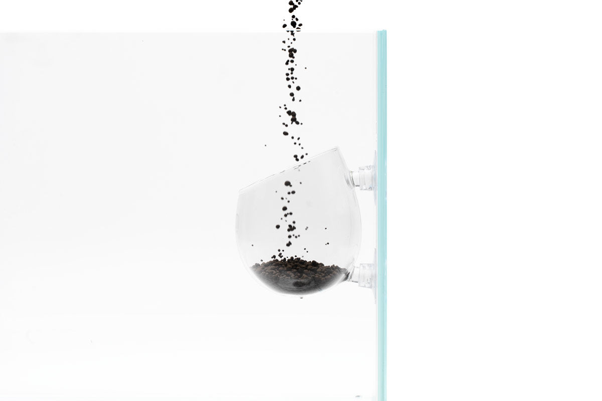 Premium UNS Glass Plant Cultivation Cup - Clear Aquatic Terrarium Planter for Succulents, Herbs & Small Plants - Perfect for Home Decor, Office Desk & Indoor Gardening