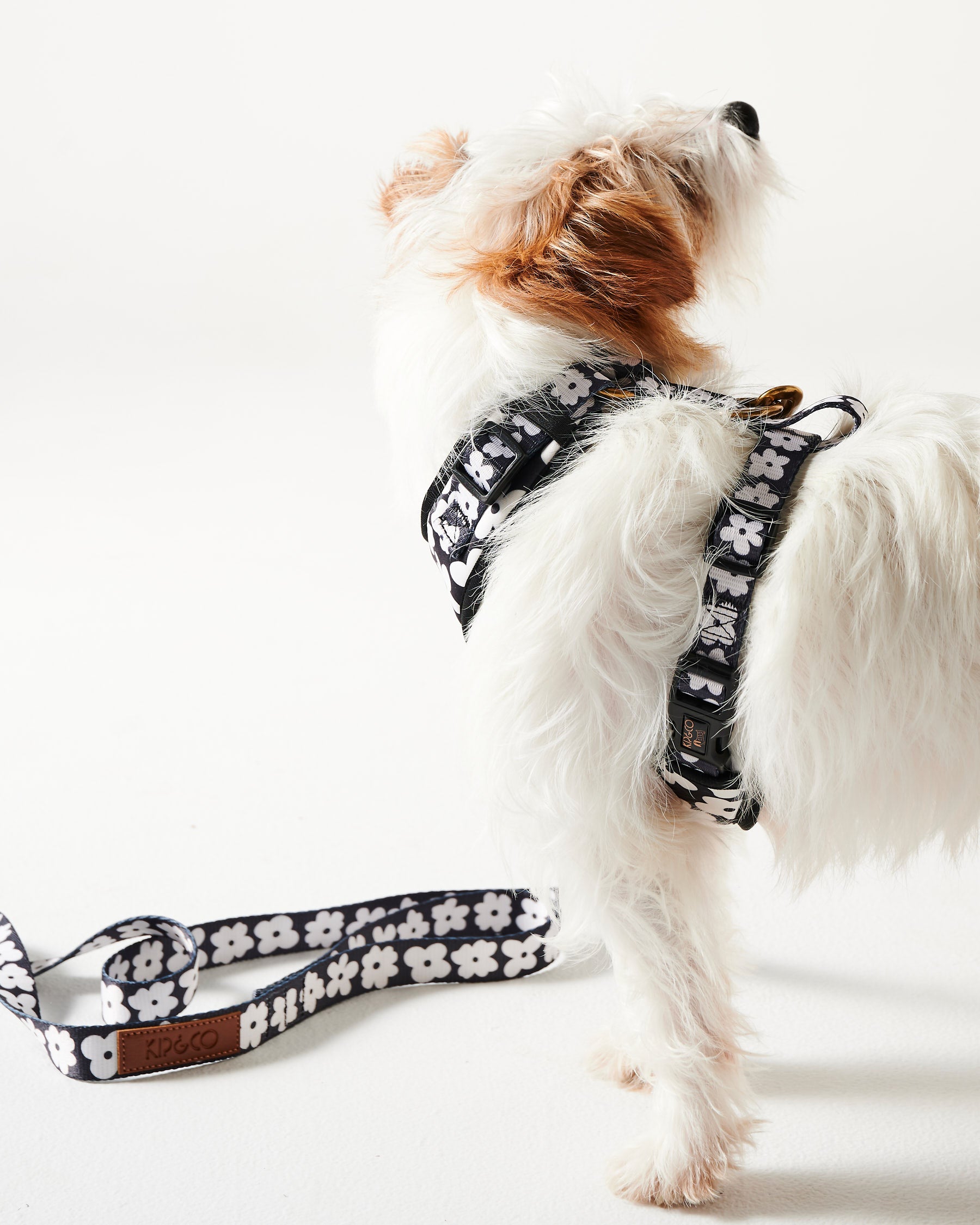 Premium Flower Print Dog Harness - Adjustable & Breathable Pet Vest for Small & Medium Dogs - Perfect for Walks, Hiking & Outdoor Adventures