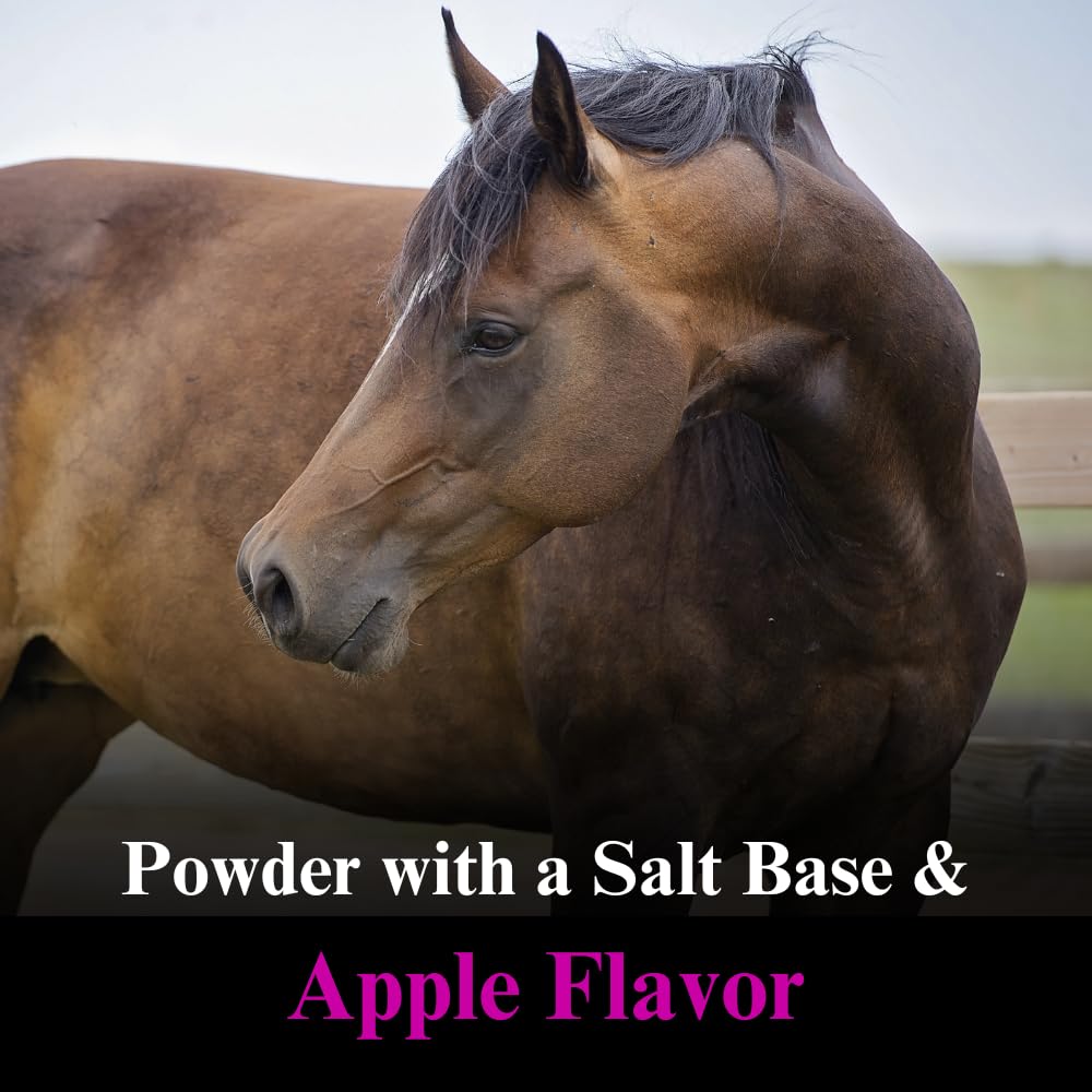 Lyte Horse Electrolyte Supplement for Performance Horses - 20lb (5 Month Supply) - Maintains Normal Body Fluid Levels & Replenishes Minerals - Ideal for Training, Racing, and Hot Weather Recovery