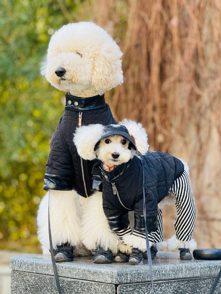 Quilted Puffer Jacket for Women & Men - Lightweight Warm Winter Coat with Stylish Shadow Stitch Design - Perfect for Outdoor Activities, Travel & Casual Wear