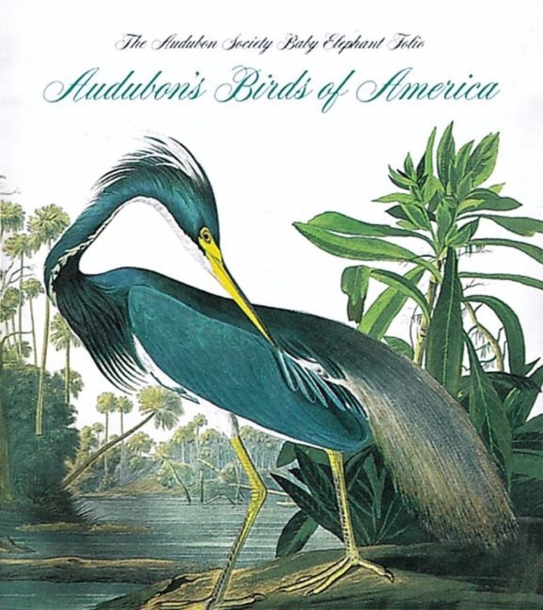 Audubon's Birds of America Tiny Folio - Illustrated Bird Guide Book for Nature Lovers, Perfect for Birdwatching & Home Decor