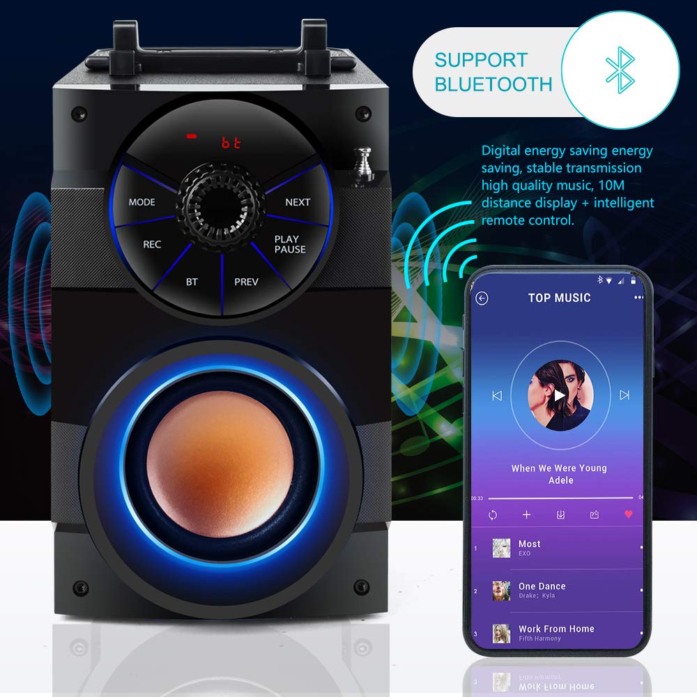 TAMPROAD Portable Bluetooth Speaker with Subwoofer - Wireless Speaker with Rich Bass, FM Radio & Remote Control for iPhone, Android, PC, TV - Perfect for Outdoor, Indoor, Party & Home Entertainment