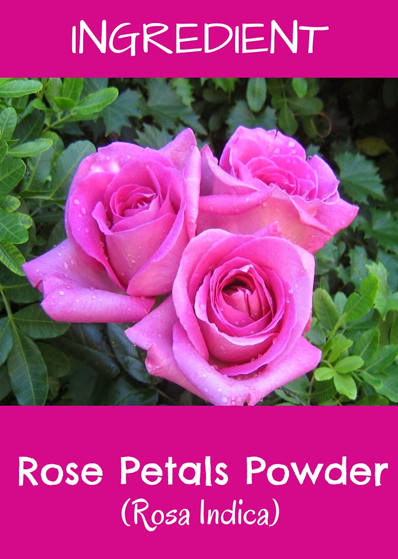 MR Ayurveda 100% Natural Organic Rose Petal Powder for Face & Skin Care - 3 Pack (300g) | Hydrating, Brightening & Anti-Aging | DIY Face Masks, Scrubs & Hair Treatments