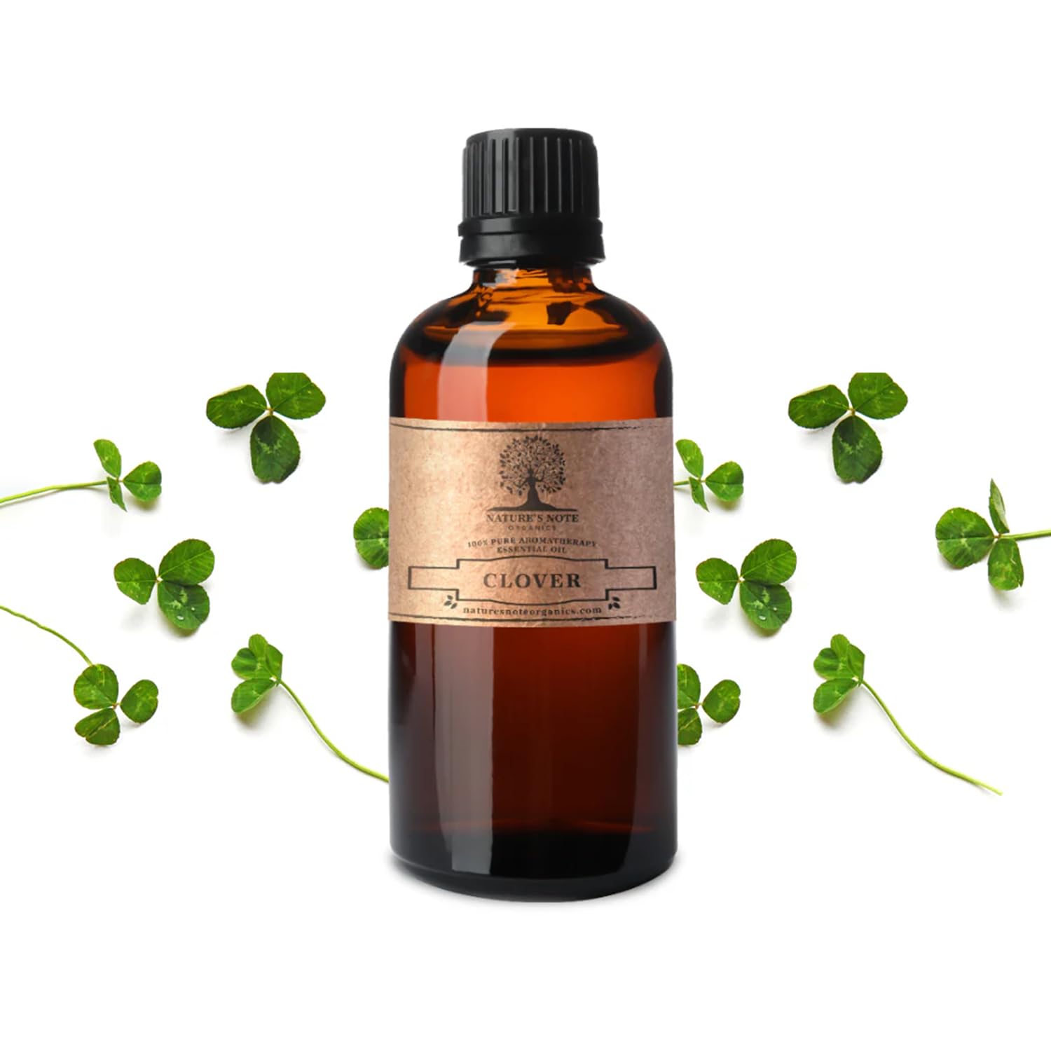 Nature's Note Organics Clover Essential Oil - 100% Pure Therapeutic Grade for Aromatherapy, Massage & Relaxation - 0.3 Fl Oz - Perfect for Diffusers, Bath & DIY Skincare