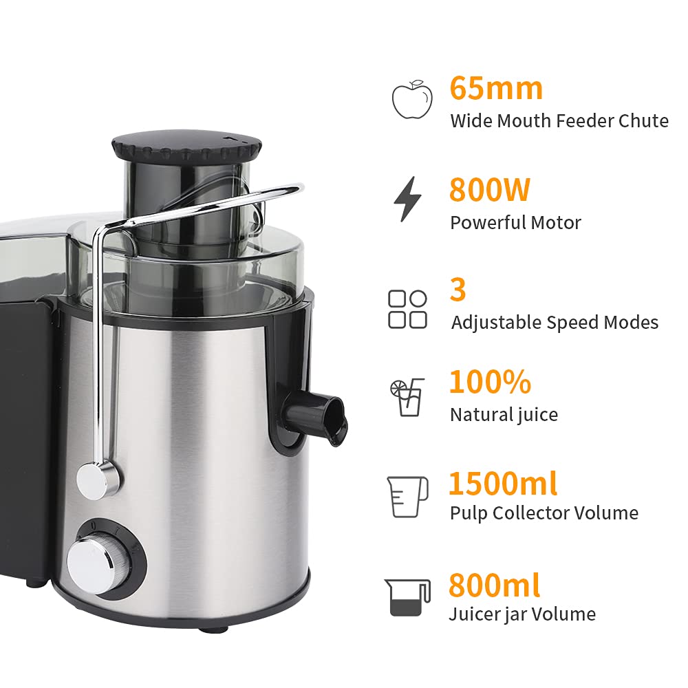 800W Slow Masticating Juicer - Cold Press Fruit & Vegetable Extractor with Easy Clean Design, Multi-Function Blender for Home Use (Black) | Perfect for Healthy Juicing, Smoothies & Detox Drinks