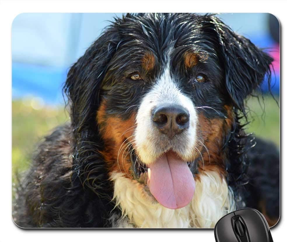 Premium Gaming Mouse Pad with Non-Slip Base - Large Bernese Mountain Dog Pet Design for PC & Console Gamers - Perfect for Office, Home & Esports Tournaments