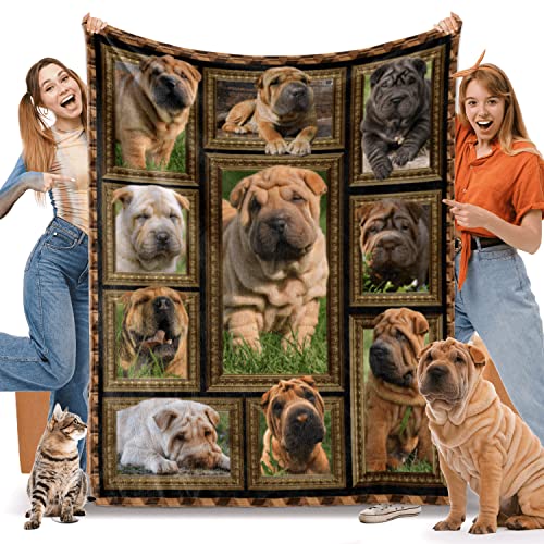 Shar Pei
