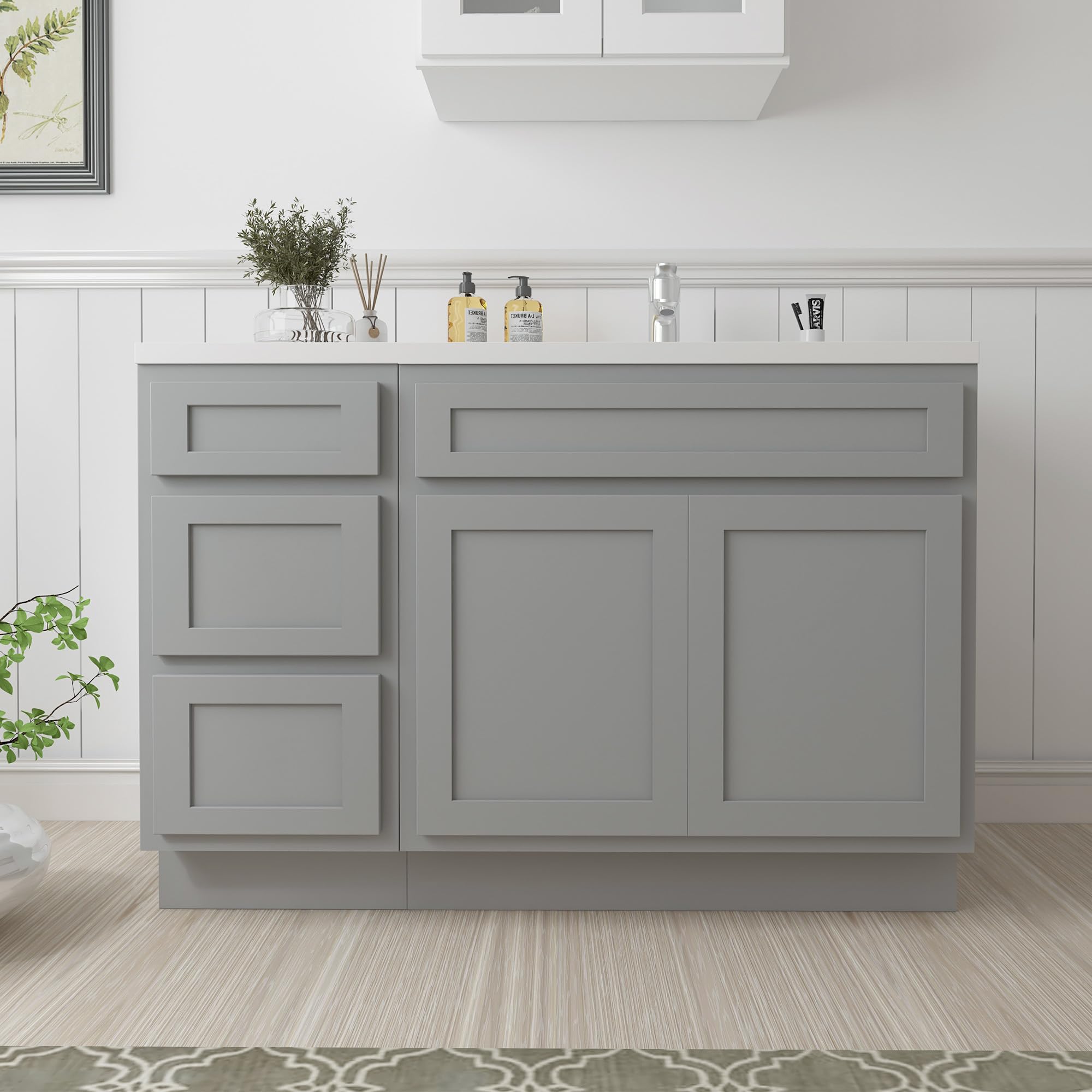 Vanity Art 48 Inch Bathroom Vanity with Double Shutter Door - Solid Wood Vanity Cabinet with Soft Close Shaker Drawers - Floor Mounted Storage Organizer for Bathroom, Bedroom or Powder Room - VA4048-3-G