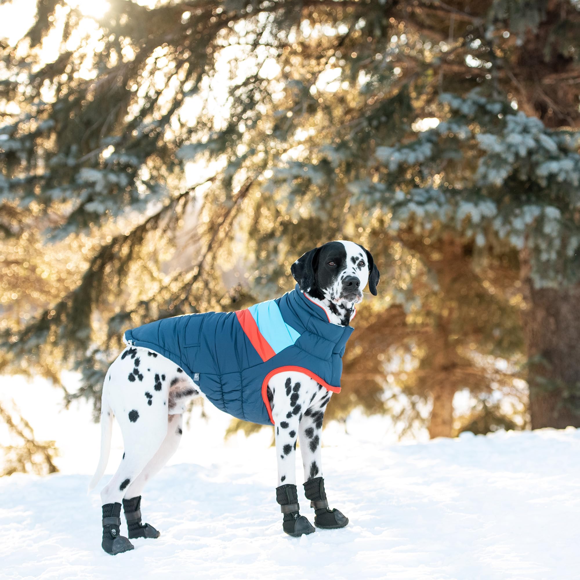 Navy Alpine Dog Puffer Jacket - Warm Winter Coat for Large Dogs - Perfect for Cold Weather Walks & Outdoor Adventures