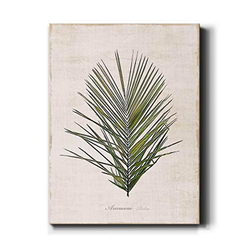 Palm Botanical (1)