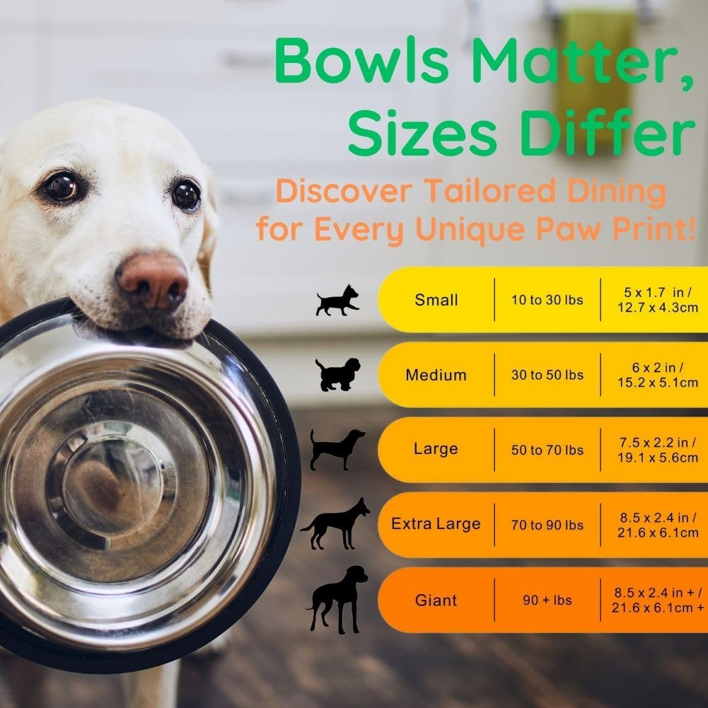 Elevated Adjustable Dog Bowl Stand - 3 Height Adjustable Feeding Station for Medium & Large Dogs - Compatible with Most Bowls (2 Pack) - Perfect for Dining, Training & Outdoor Use