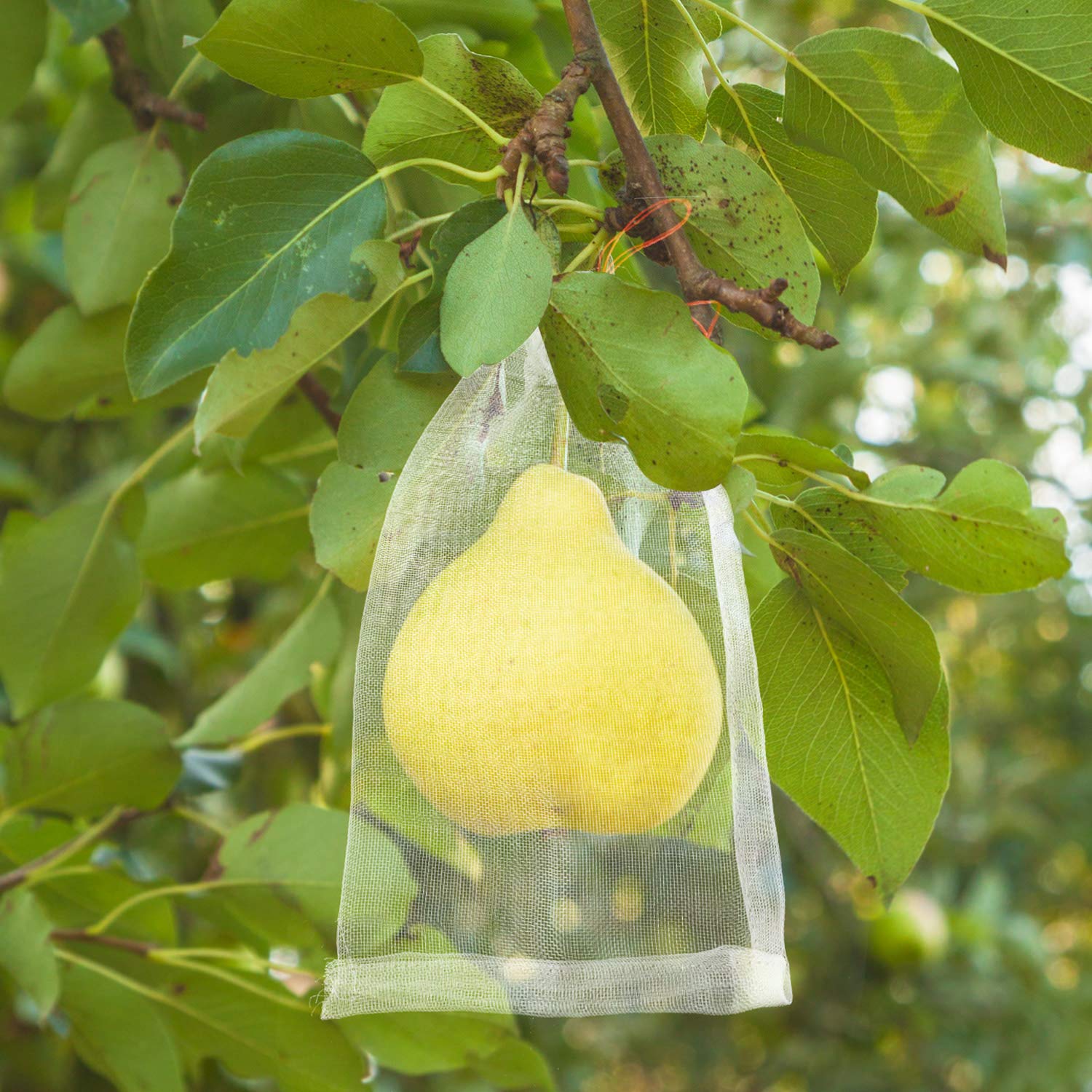 120 Pieces 6x10 Inch Fruit Protection Bags - Breathable Nylon Mesh Bird Net Barrier for Garden Plants, Flowers & Fruits - Perfect for Apple, Peach, Pear & Berry Protection (Ideal for Home Gardening & Orchard Use)