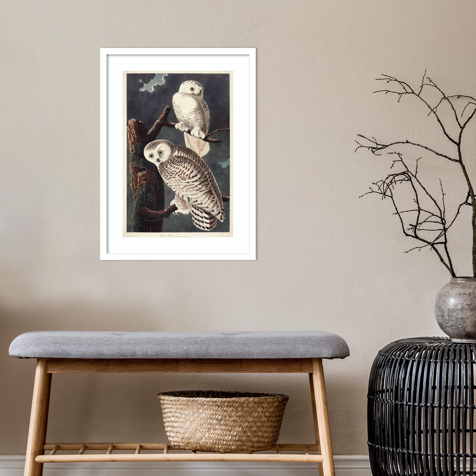 Amanti Art Framed Wall Art Print 25x19 - Snowy Owl by John James Audubon, Wildlife Animal Painting, Museum Quality Classic Decor, Premium Poster Artwork for Living Room, Bedroom, Office & Bathroom - Perfect for Home Decor, Gifts & Interior Design