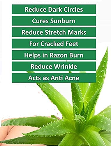99% Pure Aloe Vera Gel by Zhunmun - Soothing Skin & Hair Moisturizer for Sunburn, Dry Scalp & After Shave (130ml Tube) | Natural Hydration for Face, Body & Hair Care