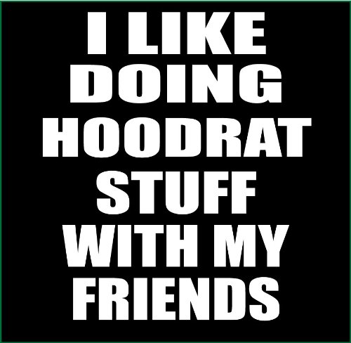 Funny 'I Like Doing Hoodrat Stuff with My Friends' Graphic T-Shirt - Cool Casual Streetwear for Hangouts & Parties