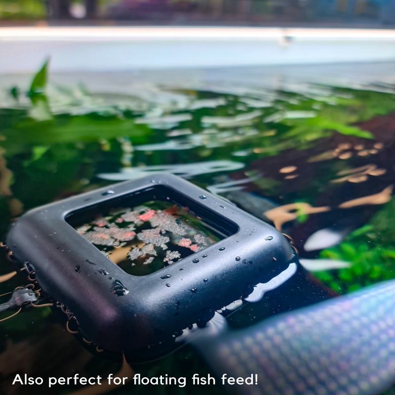 iLONDA Floating Red Worms Feeding Cup for Aquarium Fish - Perfect for Betta, Goldfish & Tropical Fish Feeding - Easy-to-Use Fish Food Dispenser for Freshwater & Saltwater Tanks
